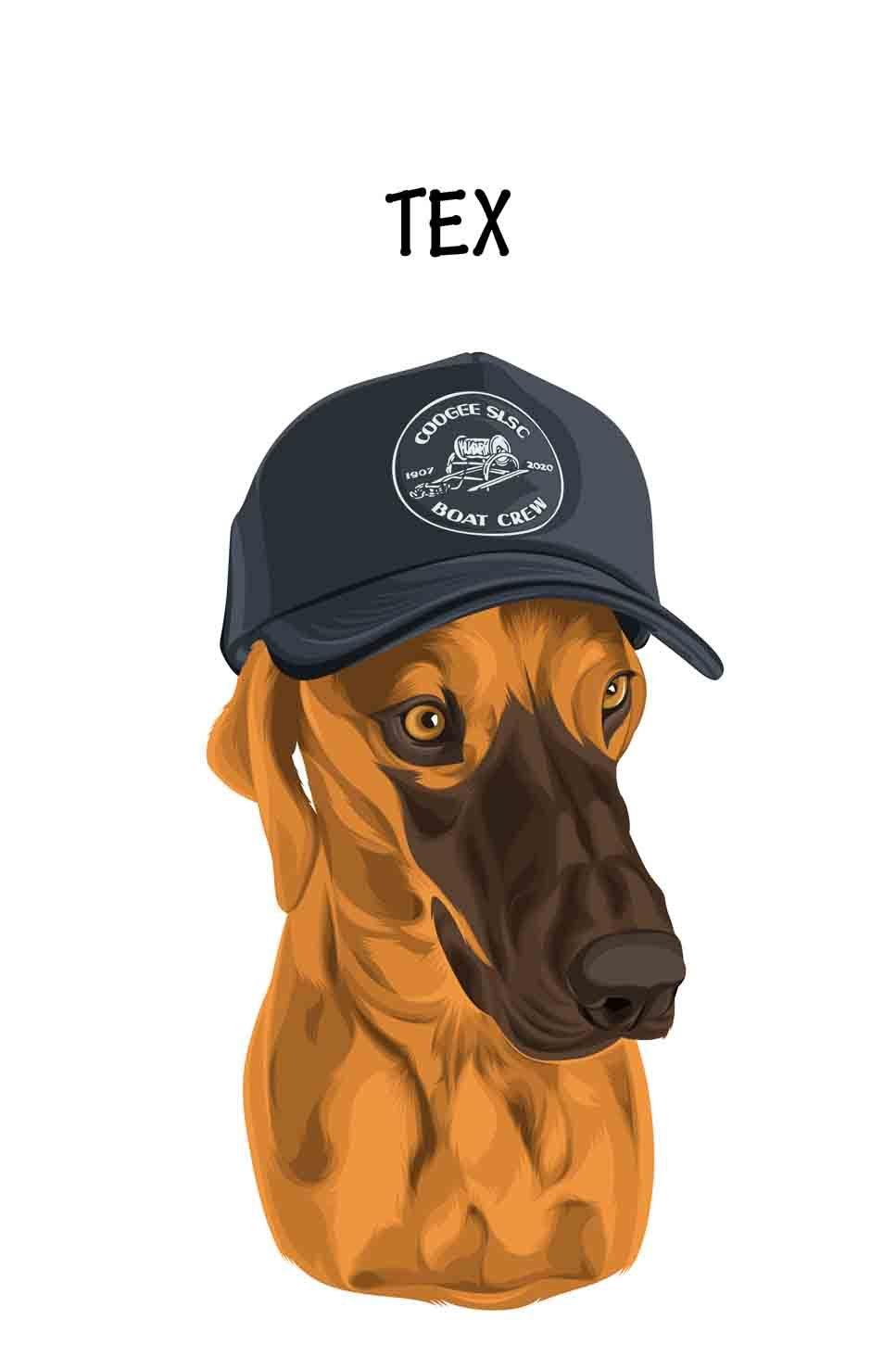 Minimalist Design - Custom Pet Portrait - NextGenPaws Pet Portraits