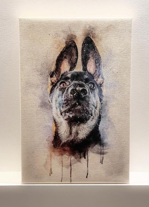 WaterColour - Custom Pet Portrait - NextGenPaws Pet Portraits