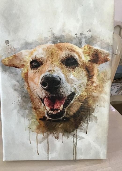 WaterColour - Custom Pet Portrait - NextGenPaws Pet Portraits