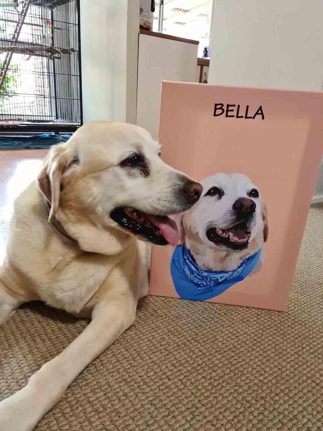 Minimalist Design - Custom Pet Portrait - NextGenPaws Pet Portraits