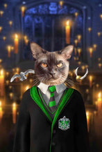 Load image into Gallery viewer, Slytherpaw - Custom Pet Blanket - NextGenPaws Pet Portraits