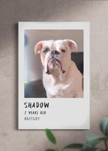 Load image into Gallery viewer, Polaroid Film - Custom Pet Portrait - NextGenPaws Pet Portraits