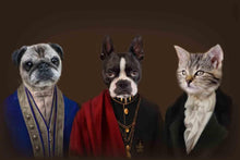 Load image into Gallery viewer, The Noble Trio - Custom Sibling Pet Blanket - NextGenPaws Pet Portraits