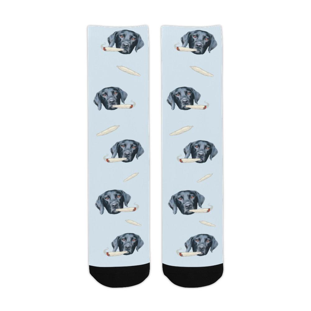 Socks - NextGenPaws Pet Portraits