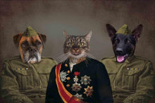 Load image into Gallery viewer, The Troops - Custom Sibling Pet Blanket - NextGenPaws Pet Portraits
