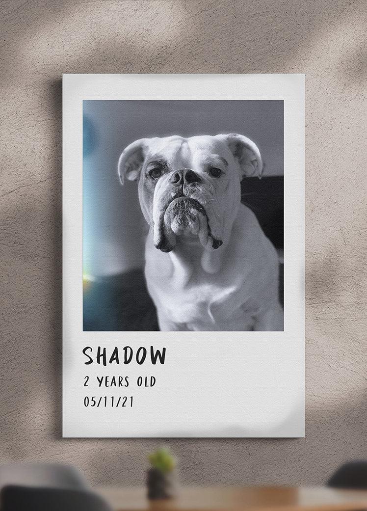 Polaroid Film - Custom Pet Portrait - NextGenPaws Pet Portraits
