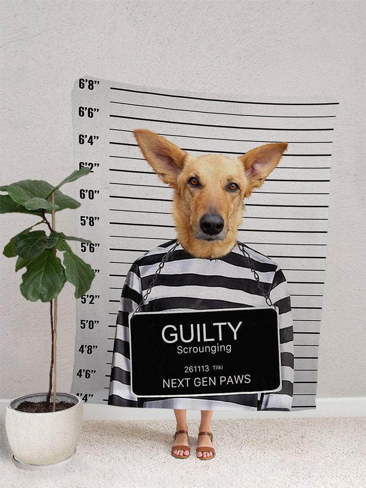 The Convict - Custom Pet Blanket - NextGenPaws Pet Portraits
