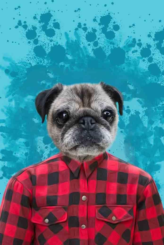 The Red Shirt - Custom Pet Portrait - NextGenPaws Pet Portraits