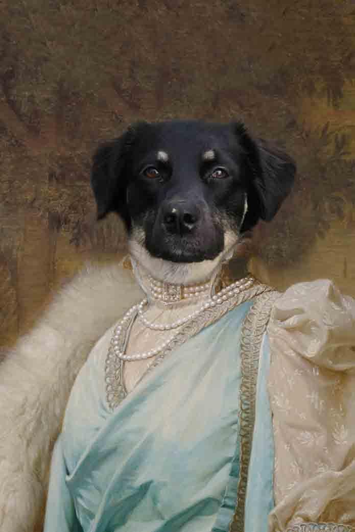 The Ballerina - Custom Pet Blanket - NextGenPaws Pet Portraits