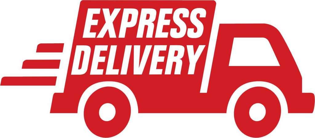 Express Delivery Upgrade - NextGenPaws Pet Portraits